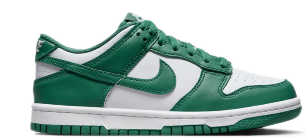 Nike Dunk low bicoastal gs