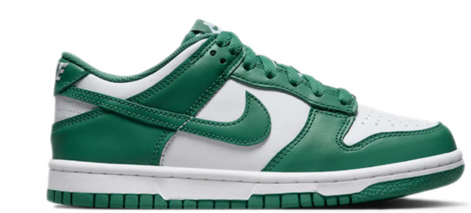 Nike Dunk low bicoastal gs